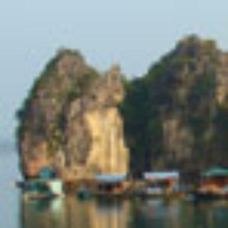 Olympia Lazeez Tea & Snacks